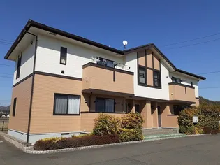 ラミ シェルAの画像