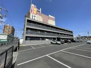 レアンドロスの画像