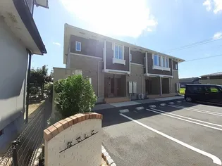 なでしこの画像