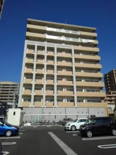 ケイマイティの画像