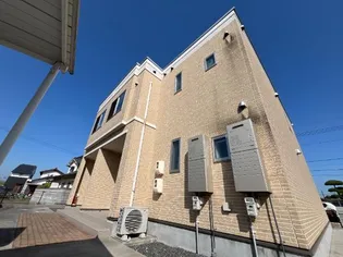 クスノキの画像