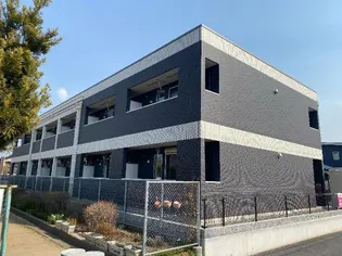 ルピナスの画像