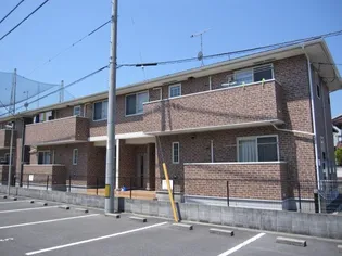 カモンドール杏Bの画像