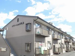 ビバリーヒルズ大上の画像