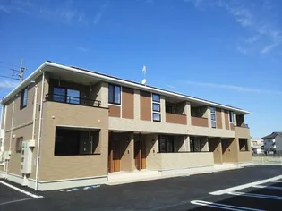 愛櫻葉Ⅱの画像