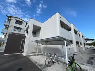 ジューンベリーの画像