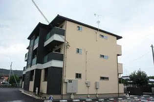 ヴィヴィッドの画像