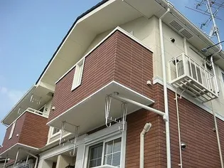 ノーヴァ メゾンの画像