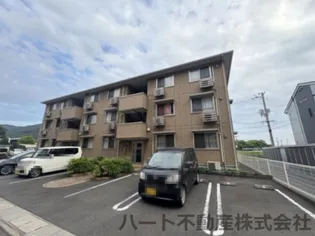 グリーンコスミオンの画像