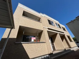 カワセミの画像