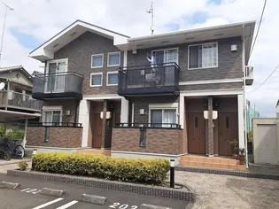 パラクレイシスの画像