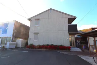 ヴィオラの画像