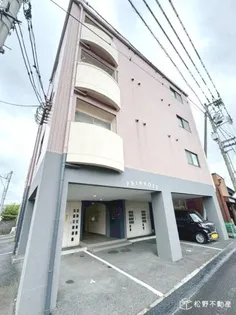 プリムローズの画像