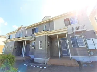 セントポーリア くすみ Bの画像