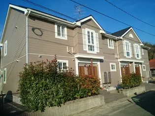 ポプラーレの画像