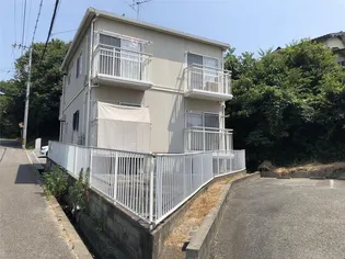 ナセールの画像