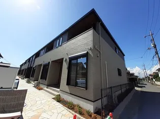 サザンクロスBの画像