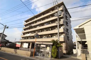 プランドールキノミの画像