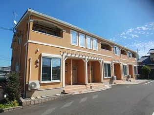 マーガレットの画像