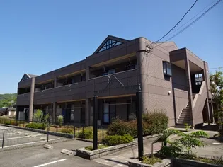 コートモデリアの画像