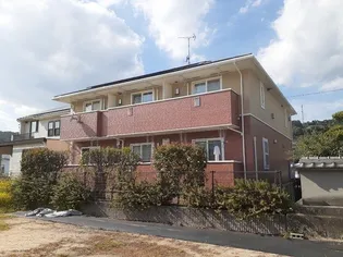 プリムローズの画像