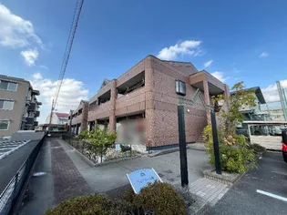 フェアリー芳明の画像