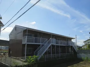 ニューシティ土器Bの画像