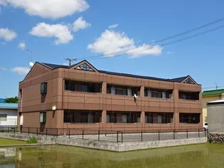 M フィールドの画像