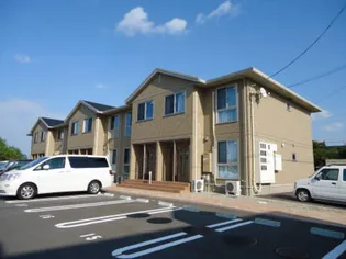 RAY SAKAMOTOの画像