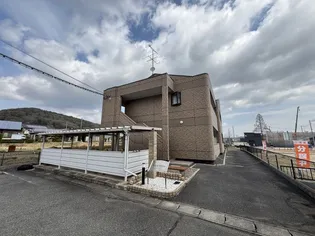 ゼフィランサスの画像