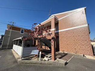 アイディールNの画像