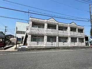 パープルメゾンIIの画像