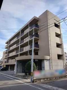 ジュンサンライトの画像