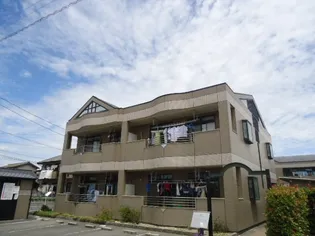 プラティークAの画像