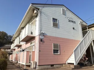 ニューシティ コスモスの画像