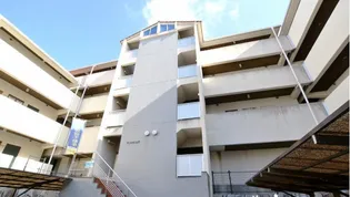 マリンヒルズ【311号室】の外観