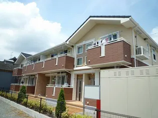 CLEMENTの画像