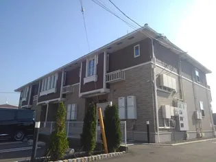 サンフラワーの画像