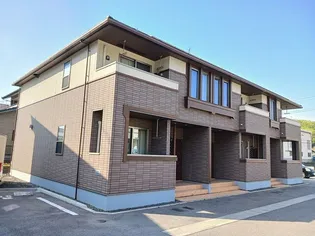 フィデールBの画像