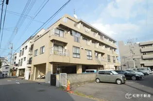 エクセル栗林の画像