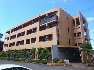 マーベラス豊成の画像