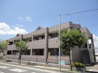 FIGーTREEの画像