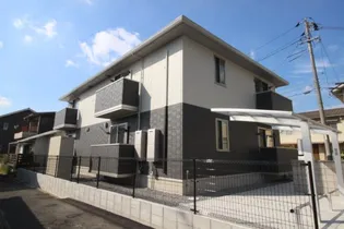 シトロン ミエルの画像