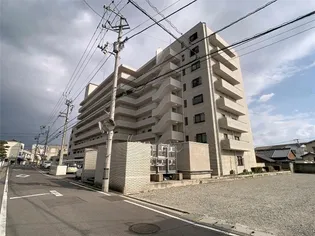 マリオン城乾の画像