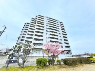 サンハイツ宇多津の画像