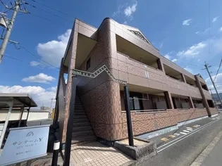サンテームYの画像