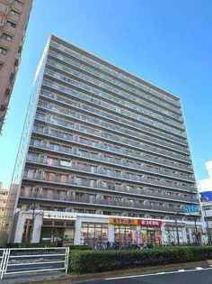 エスティメゾン大島【3階】の外観