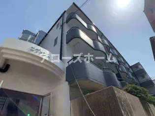 エヴァンスIIの画像