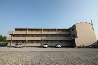 ブリリアンスシティー【203号室】の外観