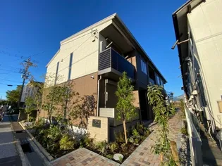 オクサリスの画像